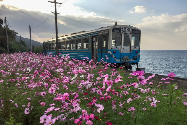 瀬戸内海に面する愛媛県！移住先としての魅力とは？統計情報やエリア毎の特徴をご紹介！